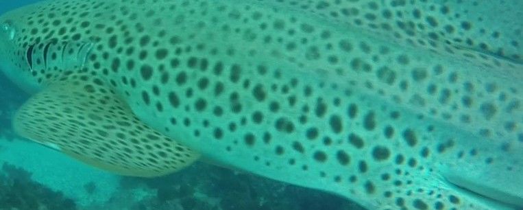 a35d67f6-1994-4258-bd58-3edc994bea35