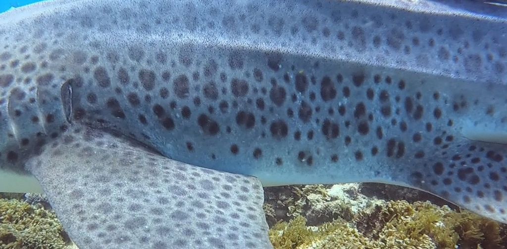 f09d9870-7c79-4cf2-b71c-9cd222186569