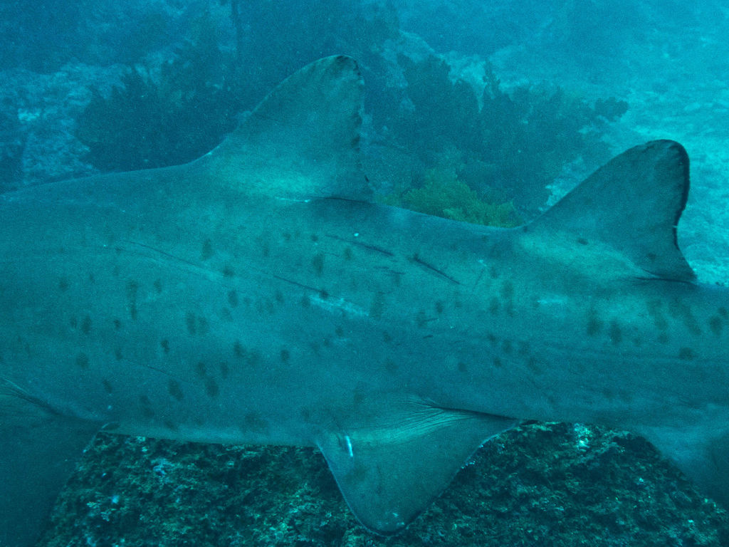 eca169eb-1c7f-4570-b660-6ecb947eee8c