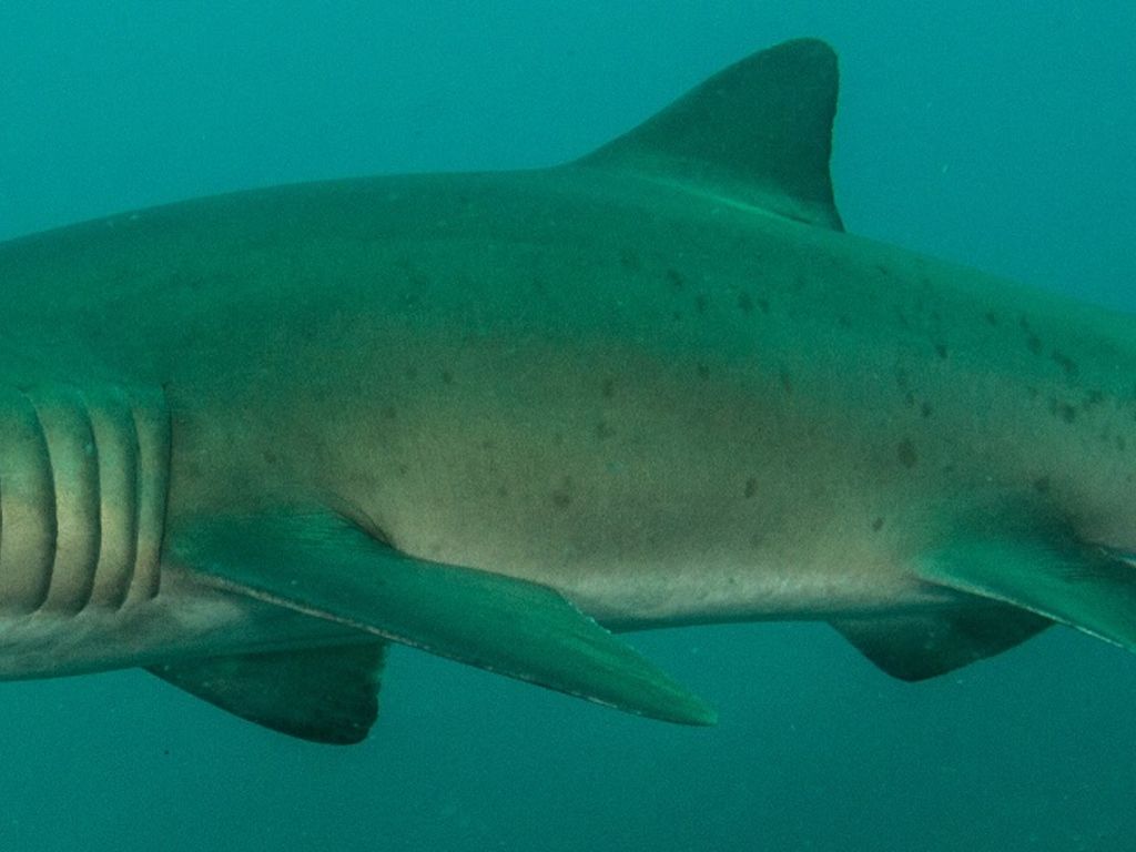 afe099b6-fc29-4b2e-836e-d39ee8e48323