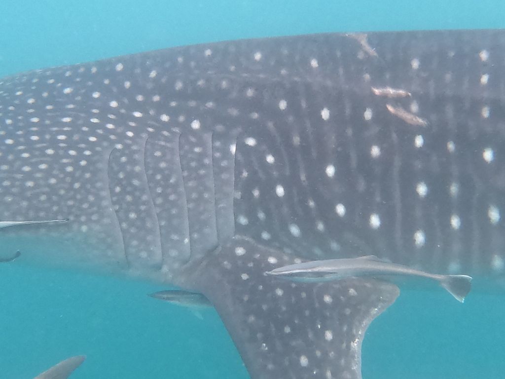 3d780a95-3183-4e0e-b61e-71c5e19efa4e