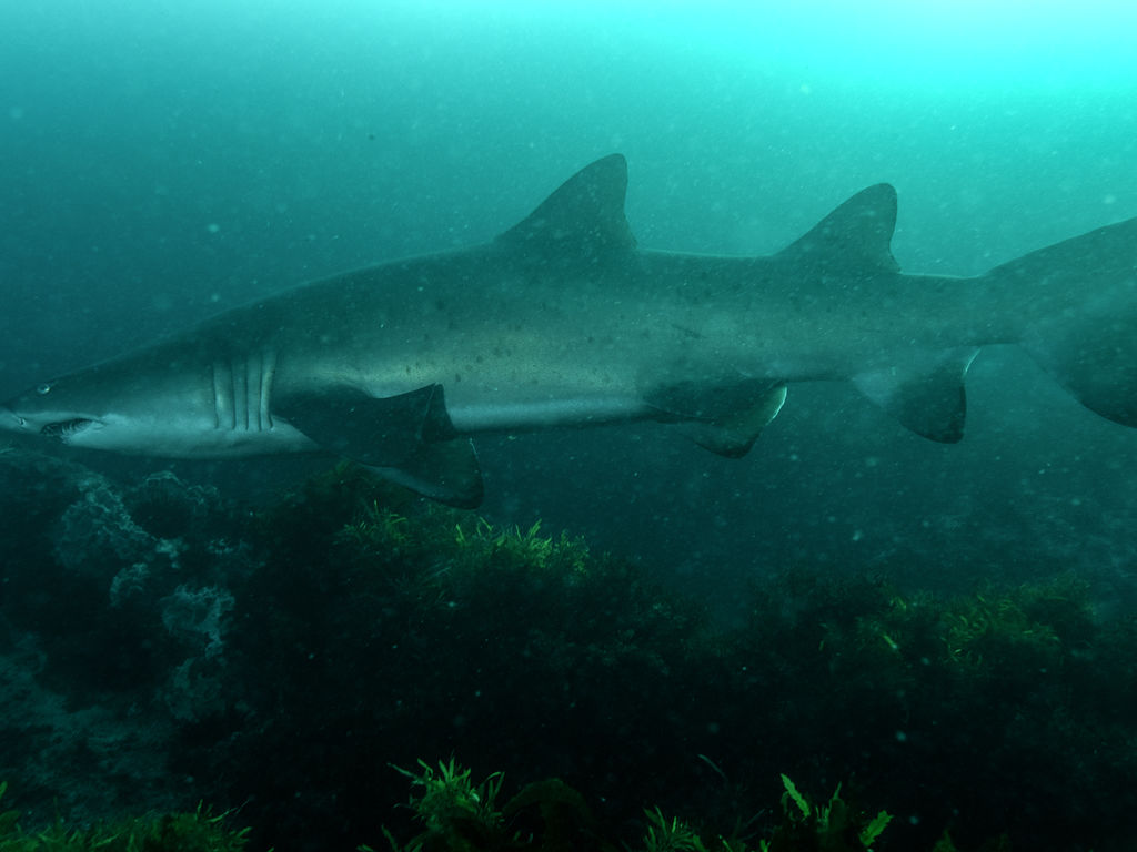 f4cbc3e9-9f5b-496d-908a-10fa42804569