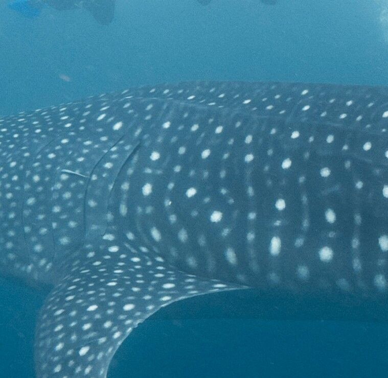 12d454f2-0dba-4976-a878-cfbe298c162f