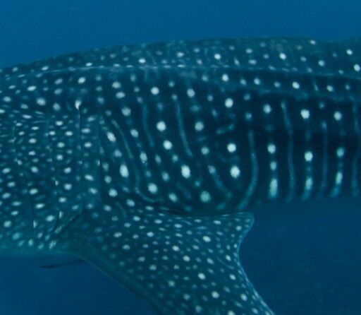 a9dc6512-c835-41b3-9cbe-6925e6e1d49a