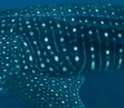 a9dc6512-c835-41b3-9cbe-6925e6e1d49a