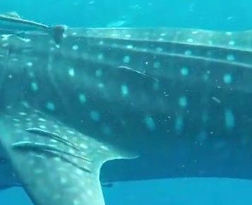 aea5544f-7d89-46fd-86af-51749336db7c