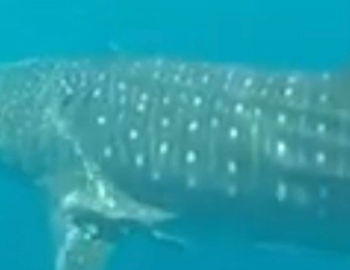 9260ab47-09fe-426c-871e-a1f507d85fad