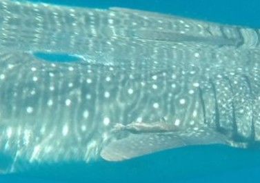 9260ab47-09fe-426c-871e-a1f507d85fad