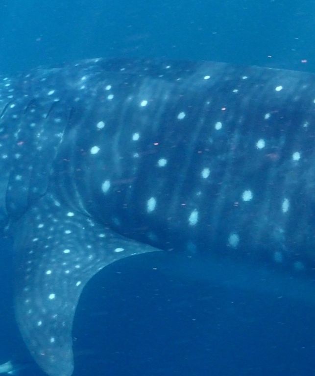 f8ee57c6-9f87-4e01-8325-a61e8c1ea2d3