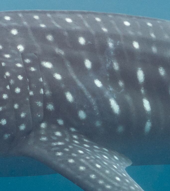 7dbfbf0c-ccd0-49df-a40a-47003f18c6de