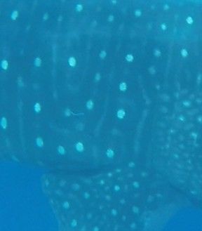 f6bc7f5f-128c-40e1-8ed0-6ed9e3b69874