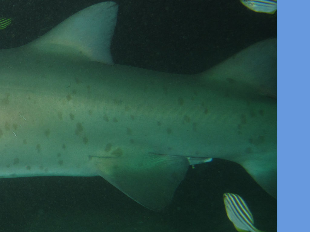 cfbcc5e4-c24a-4521-afb5-b13dc0074cd3