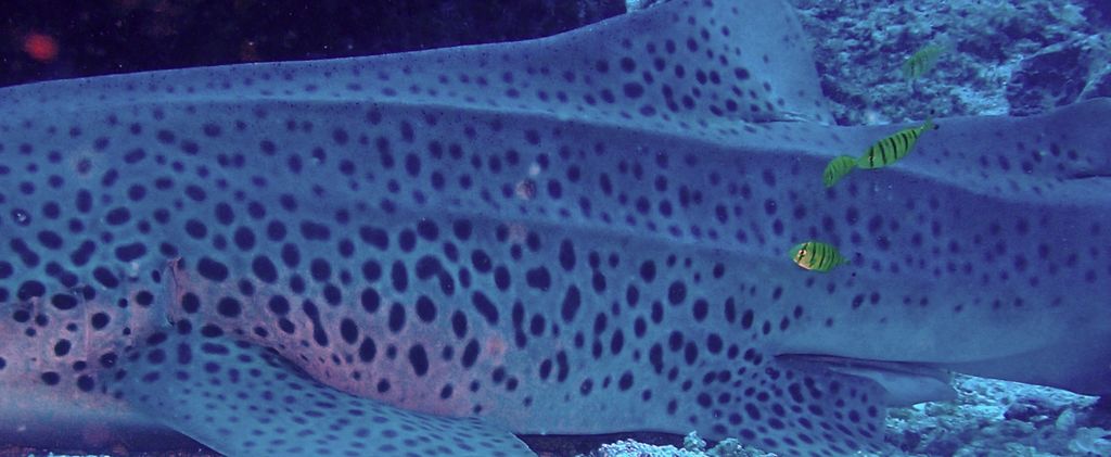 434b9435-747e-401b-b310-c3e9177aa84f