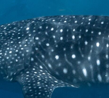 92cedd82-350d-46d0-90f6-a84156cb15a2