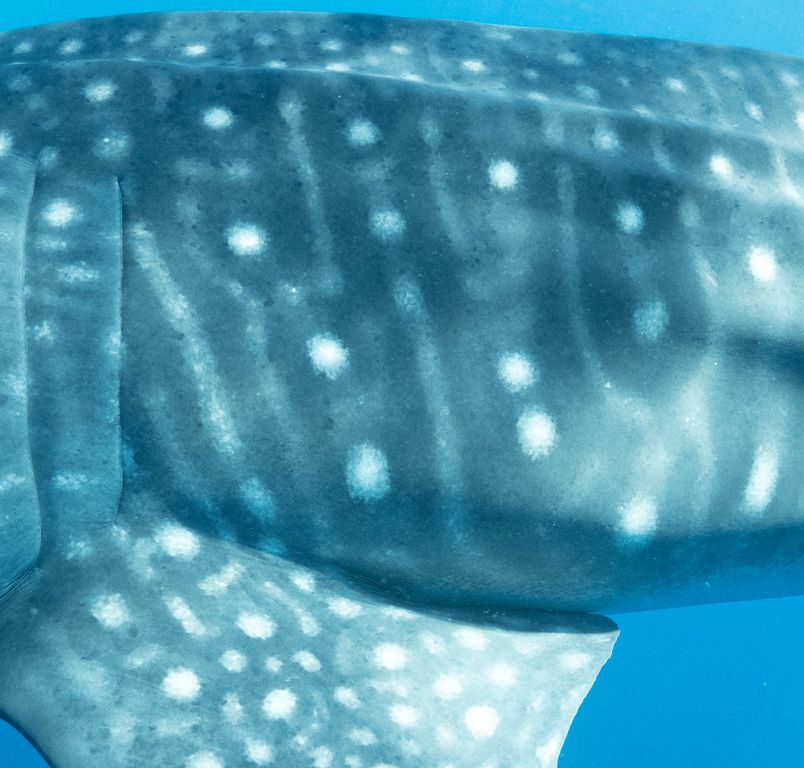 c7d55add-ecd9-46e8-bfec-577e7b060e08