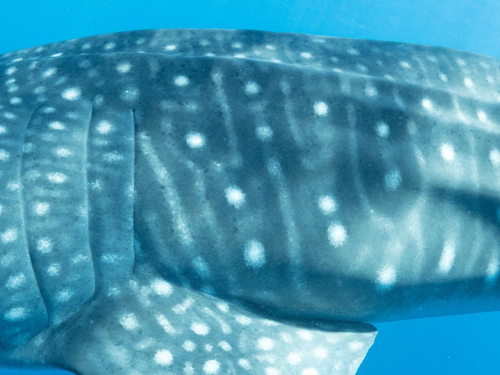 c7d55add-ecd9-46e8-bfec-577e7b060e08