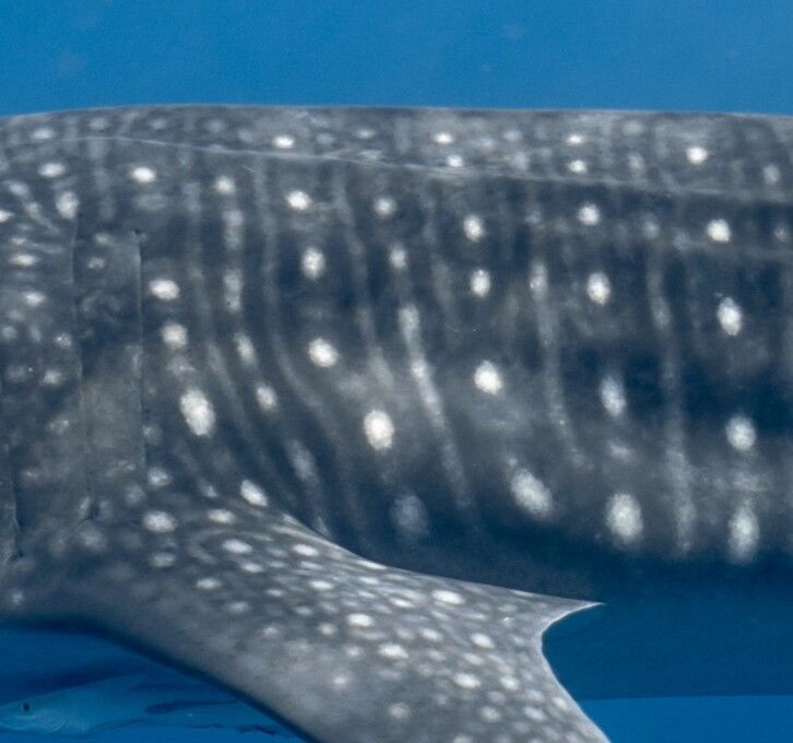 96eed10a-b0f5-4a02-91ba-debdb5925372