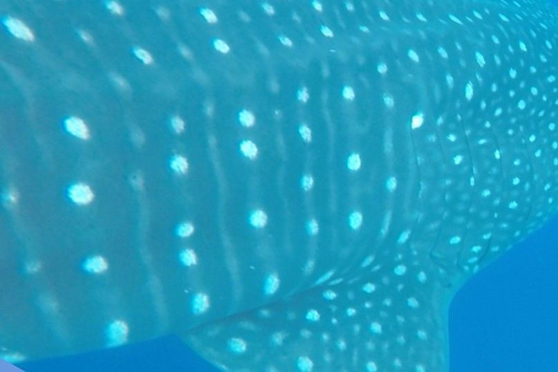 54656618-5c89-4854-94c1-5683321520aa