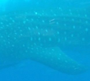 54656618-5c89-4854-94c1-5683321520aa