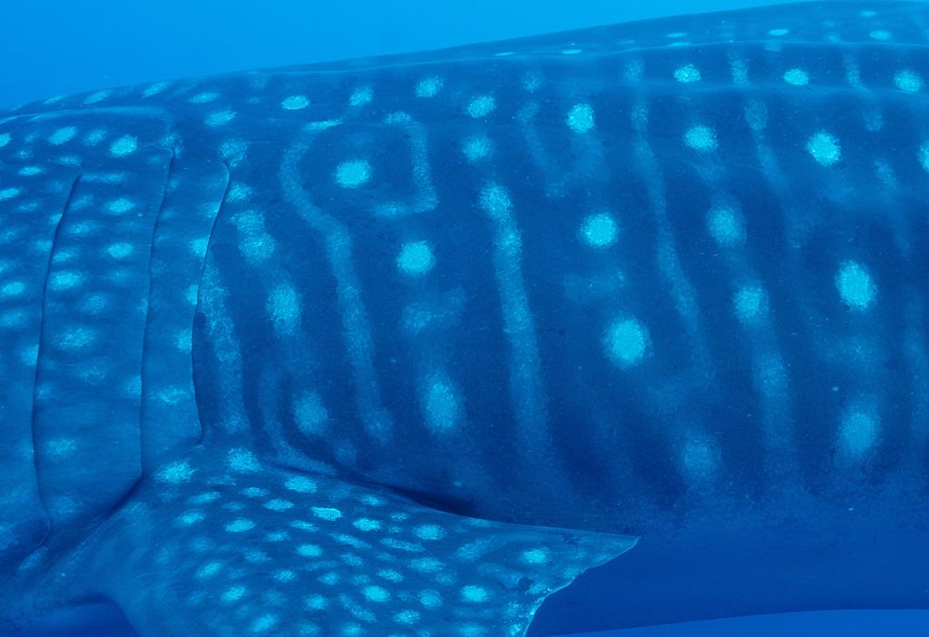 558f6a2a-f560-415e-8ee8-cf6477e75530