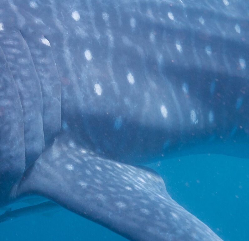 86b57312-cd99-49c2-9882-27995f5a446d