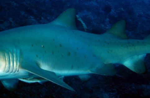 40980a54-d5e5-4e86-9b51-dbb852791a21