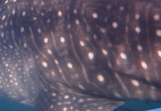 1d90ef23-88e6-428e-9c5c-d39a6a621adb