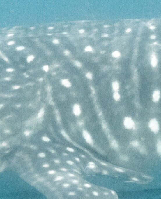 6bce0756-5836-410e-b233-1c70ae2bae1a