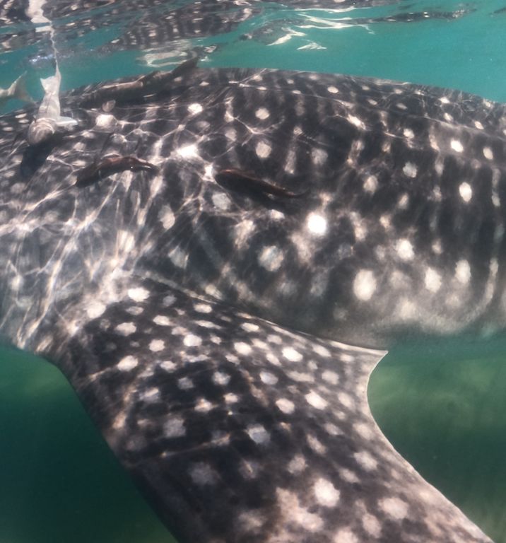 84cd72fd-c582-4314-b736-45d936f0c7a5