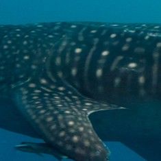 e0462ba3-5594-4f10-9a16-dbd8b11da1af