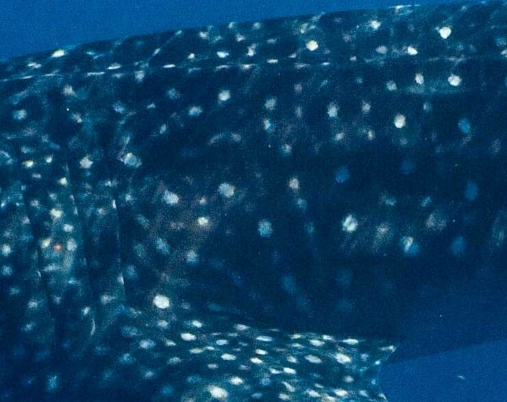 d6545596-3cef-4e1b-9554-22a3d88fdf3a