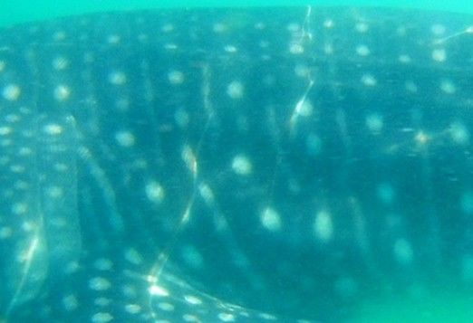 e28cb3f6-3c82-4837-a71b-71bebbd13175