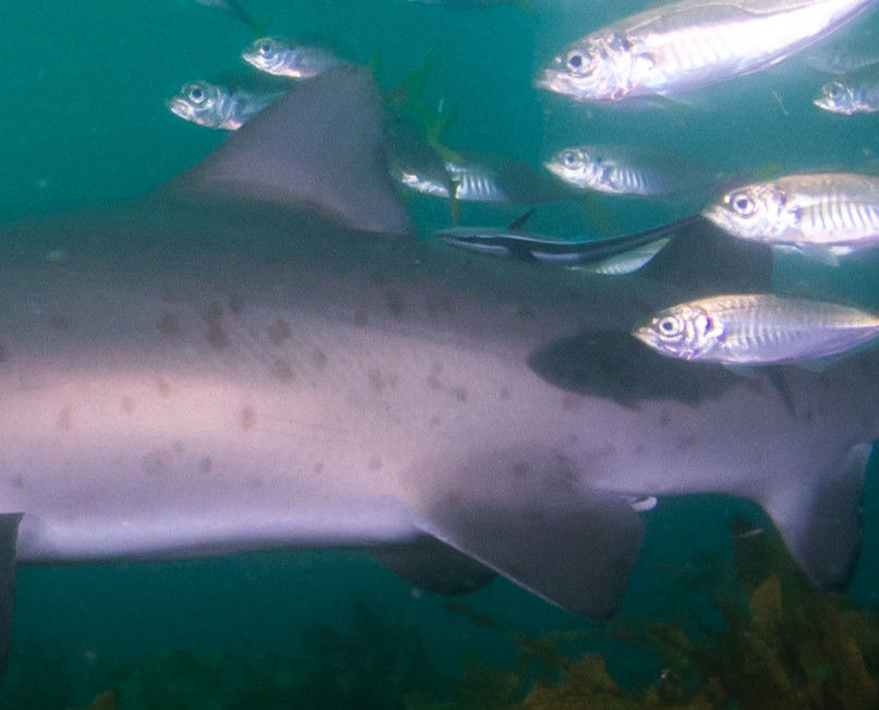 387a9329-fbe8-4d66-ae14-6142b7bf9d84