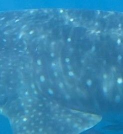 9220f584-bb47-4c68-970a-4355e05d83a6