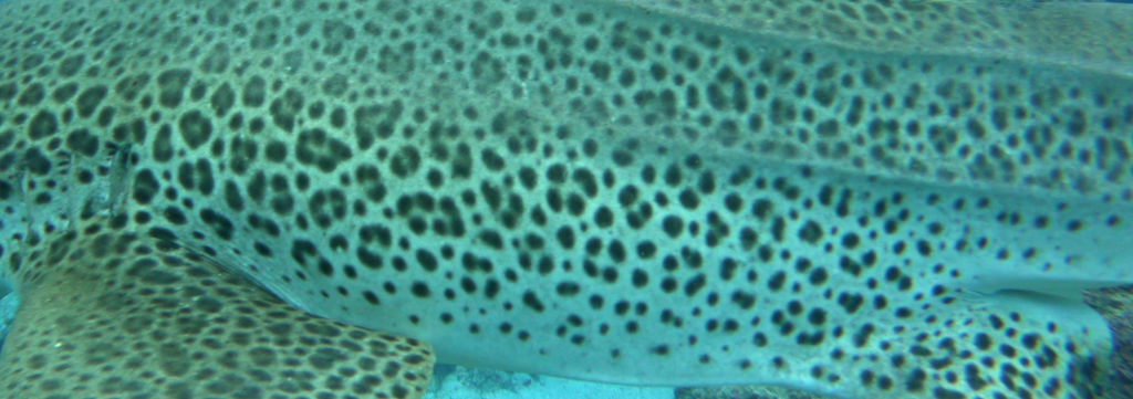 afbe0f0b-5989-4e1c-afa7-4199206f28fa