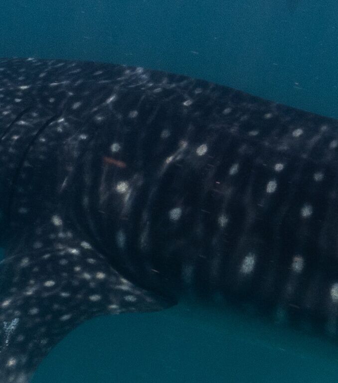 51d20eb0-aa16-44df-9794-9898db8f8bec