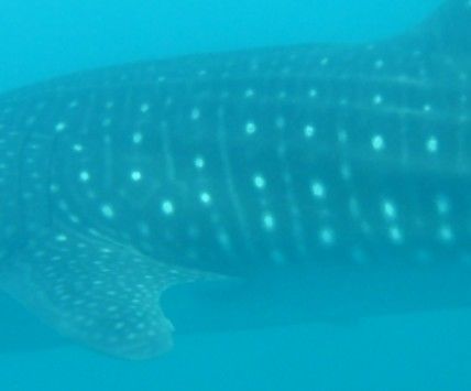 48ab9a02-1d94-4f8c-a634-ec0864449ef7