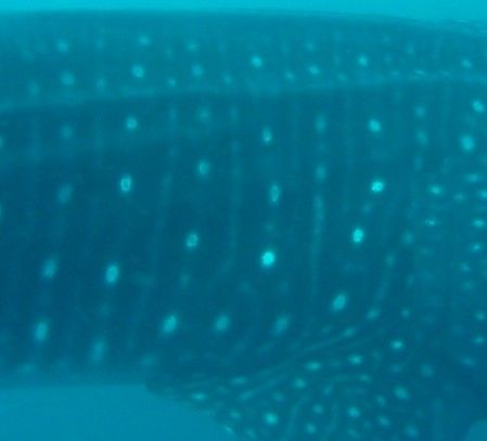 48ab9a02-1d94-4f8c-a634-ec0864449ef7