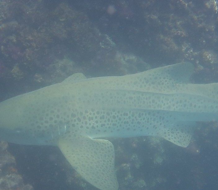 7a20eee5-1240-4d33-9791-baa73fa833ba