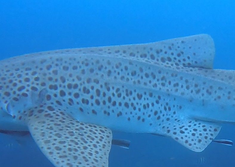 3581bedd-222a-4a3e-ae61-00c6344b8a29