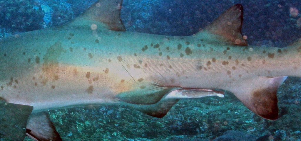 cade9dc7-580a-4838-80bd-c453c3825f7d