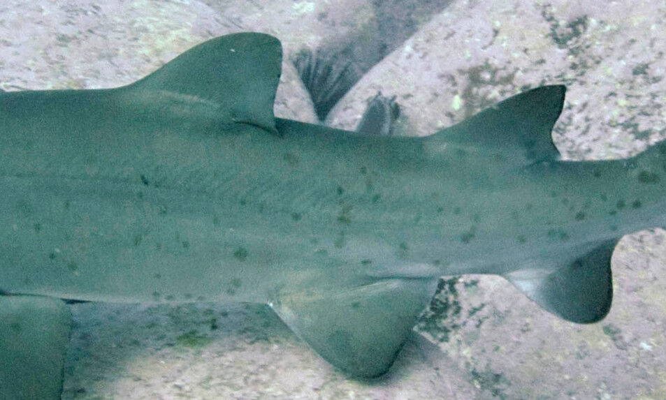 60704ed9-6ef1-4f73-b052-82cdbde0f2c4