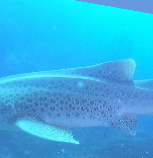 3581bedd-222a-4a3e-ae61-00c6344b8a29