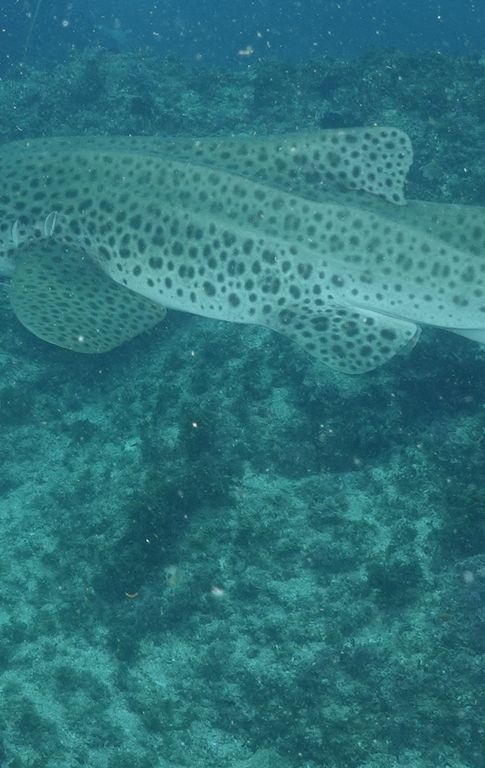 7a52b744-4df5-4e00-8d8f-352f05234c7b