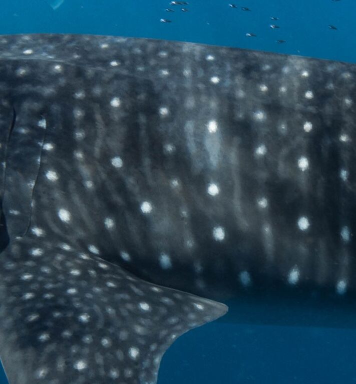 b9b919dd-3361-414c-b804-cf6df54c5012