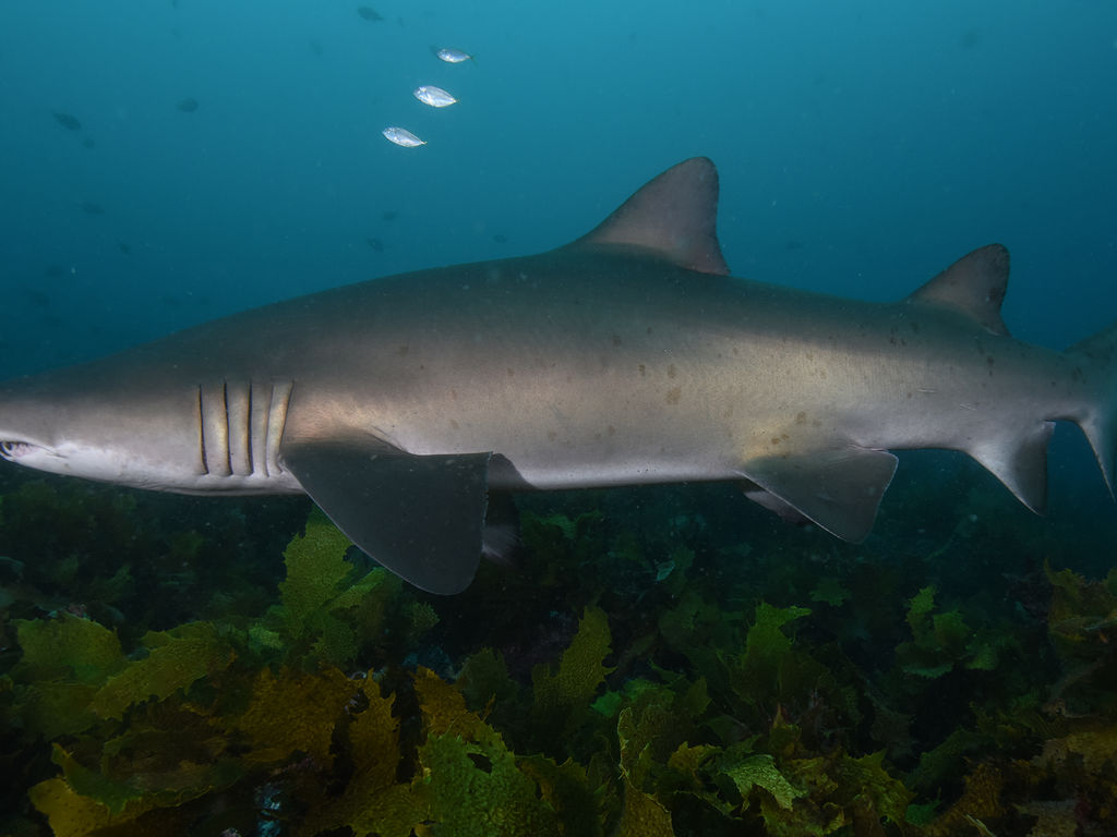 88bca0fd-bd21-43f4-bb62-7de830ecfffa