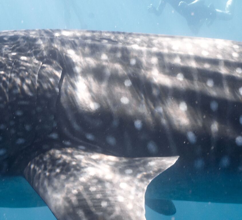 406374cd-f80f-4609-864e-9357d71e8dd6