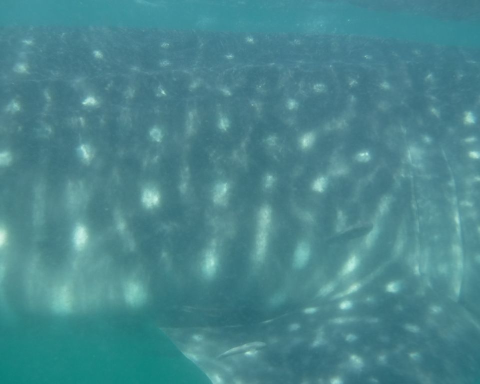 11efd23f-7aea-4980-9bf0-1beb35ac3349