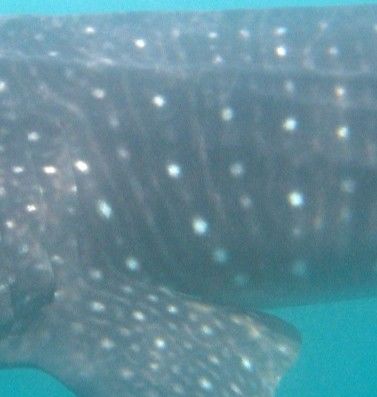 84280268-4526-4ec1-9ee1-346dc605272f