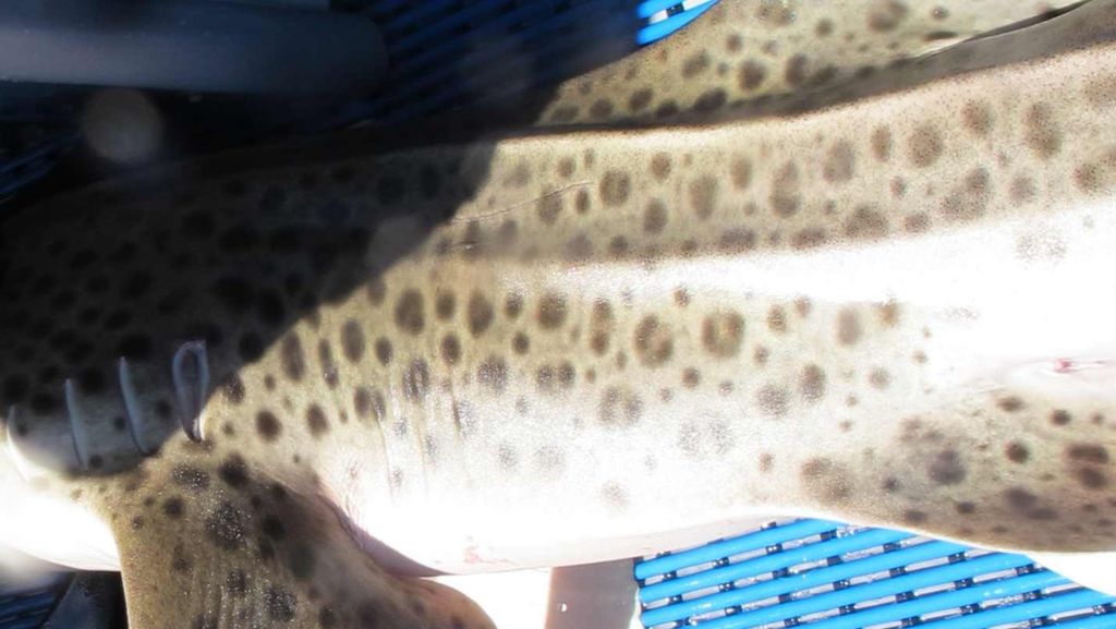 50e4d26c-e12c-4c73-a32e-dd5addc1b9d5